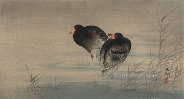 two boys singing Painting - two gallinules in shallow water Ohara Koson Shin hanga